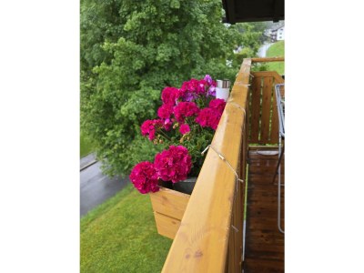 Holiday apartment Berta, Bergblick, Balkon, ruhig - Outdoor photo 6