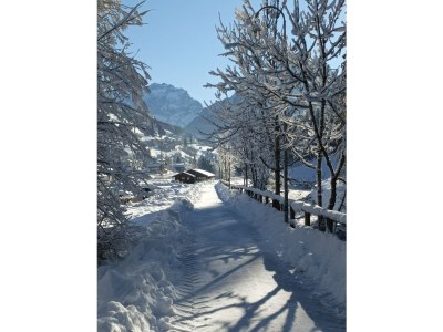 Villa Villa Vettori - Outdoor photo 7