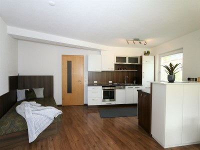 Holiday park Wohnung in Hippach nahe Mayrhofen Skigebiet - Features photo 7