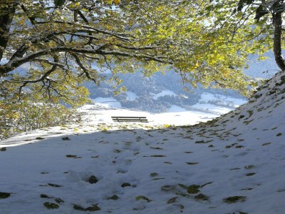 Holiday park Wohnung in Hippach nahe Mayrhofen Skigebiet - Environment photo 15