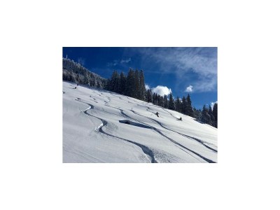 Holiday park Wohnung in Hippach nahe Mayrhofen Skigebiet - Environment photo 18