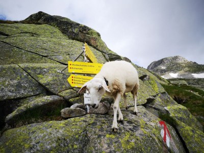 Holiday park Wohnung in Hippach nahe Mayrhofen Skigebiet - Environment photo 19