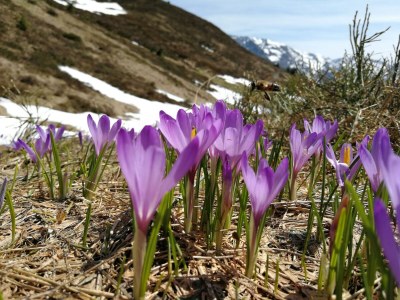 Holiday park Wohnung in Hippach nahe Mayrhofen Skigebiet - Environment photo 21