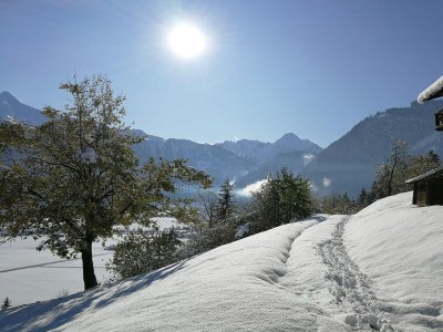 Holiday park Wohnung in Hippach nahe Mayrhofen Skigebiet - Outdoor photo 29