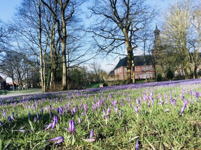 Holiday apartment Sofie - Environment photo 20