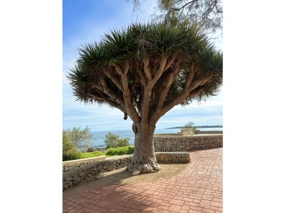 Holiday apartment Holiday apartment - Environment photo 15