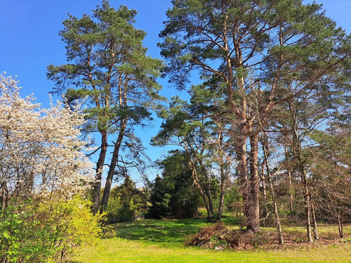 Holiday house Ferienhaus in der Südheide - Outdoor photo 2