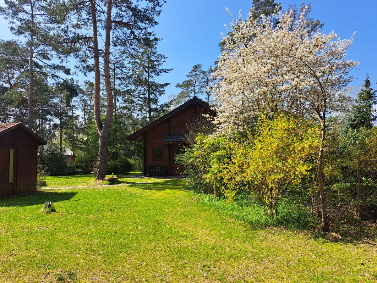 Holiday house Ferienhaus in der Südheide - Outdoor photo 3