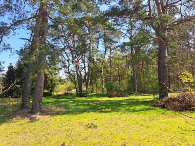 Holiday house Ferienhaus in der Südheide - Environment photo 17