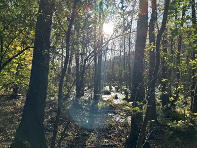 Holiday apartment Biber mit Seeblick - Environment photo 23