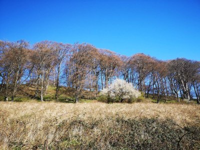 Holiday house Beautiful holiday home in Borre-By Traum - Outdoor photo 8