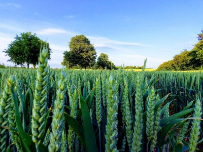 Holiday house Beautiful holiday home in Borre-By Traum - Outdoor photo 36