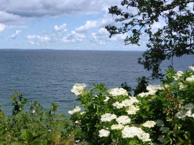 Holiday house Spacious Retreat near Beach - By Traum Ferienwohnungen - Outdoor photo 14