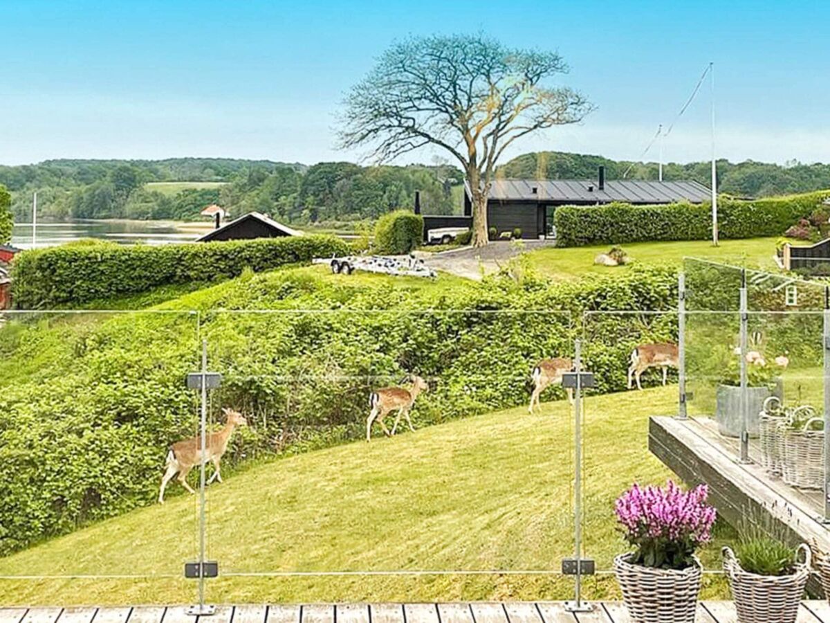 Holiday house 5 star holiday home in Kolding - Outdoor photo 5