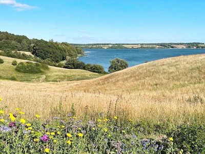 Holiday house 5 star holiday home in Kolding - Outdoor photo 7