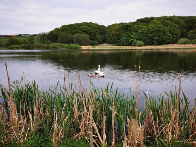 Holiday house 5 star holiday home in Kolding - Outdoor photo 19