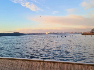 Holiday house 5 star holiday home in Kolding - Outdoor photo 48