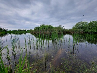 Holiday house 4 Sterne Ferienhaus in Humble-By Traum - Outdoor photo 5