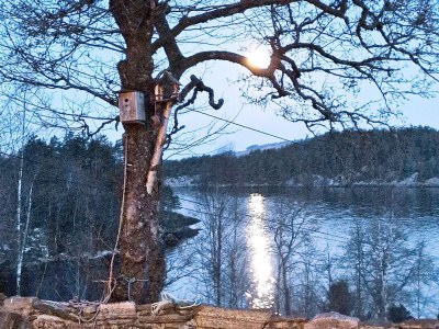 Holiday house 8 person holiday home in Masfjordnes-By Traum - Outdoor photo 7