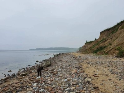 Holiday house 6 person holiday home in Haderslev-By Traum - Outdoor photo 43