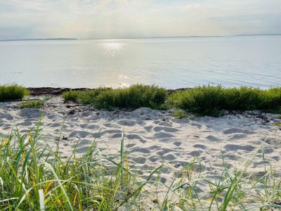 Holiday house 6 person holiday home in Bogense-By Traum - Outdoor photo 4