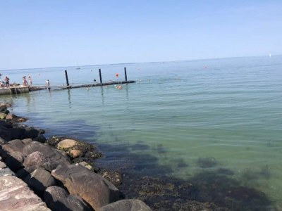 Holiday house 6 person holiday home in Bogense-By Traum - Outdoor photo 17