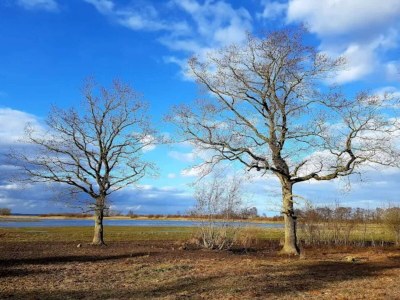 Holiday house 6 person holiday home in Bogense-By Traum - Outdoor photo 28