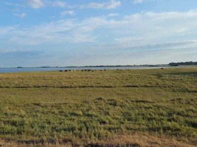 Holiday house 6 person holiday home in Bogense-By Traum - Outdoor photo 36