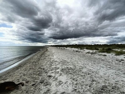 Holiday house 4 Sterne Ferienhaus in Hals-By Traum - Outdoor photo 15