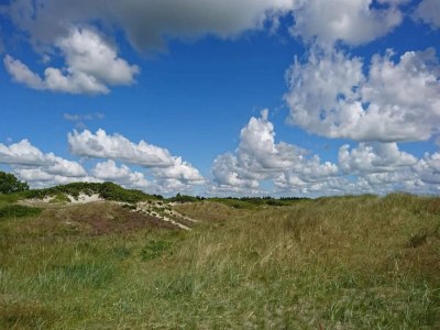 Holiday house 4 Sterne Ferienhaus in Hals-By Traum - Outdoor photo 25