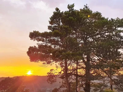 Holiday house 8 Personen Ferienhaus in Risør-By Traum - Outdoor photo 5