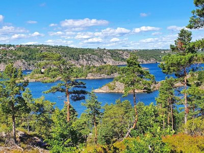 Holiday house 8 Personen Ferienhaus in Risør-By Traum - Outdoor photo 35