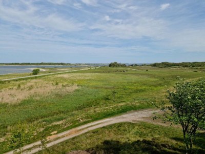 Holiday house 9 person holiday home in Thyholm-By Traum - Outdoor photo 25