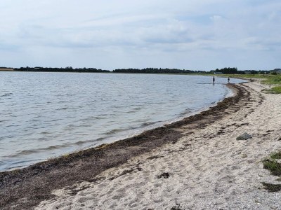 Holiday house 9 person holiday home in Thyholm-By Traum - Outdoor photo 27