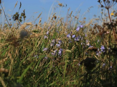 Holiday house 6 person holiday home in Vestervig-By Traum - Outdoor photo 30