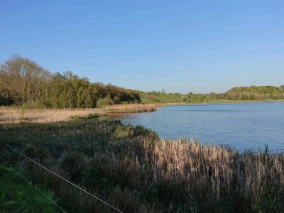 Holiday house 4 star holiday home in Faaborg-By Traum - Outdoor photo 2