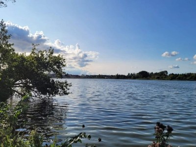 Holiday house 4 star holiday home in Faaborg-By Traum - Outdoor photo 27