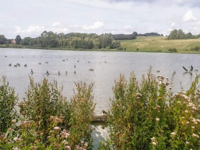 Holiday house 4 star holiday home in Faaborg-By Traum - Outdoor photo 33