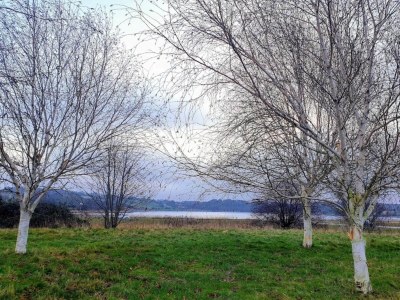 Holiday house 4 star holiday home in Faaborg-By Traum - Outdoor photo 40