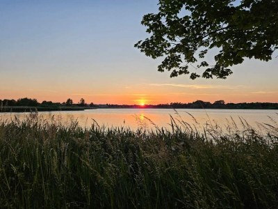 Holiday house 4 star holiday home in Faaborg-By Traum - Outdoor photo 42