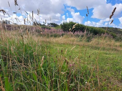 Holiday house 6 Personen Ferienhaus in Struer-By Traum - Outdoor photo 14