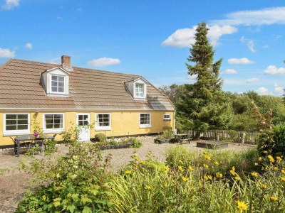 Holiday house 6 person holiday home in Ringkøbing-By Traum - Outdoor photo 9