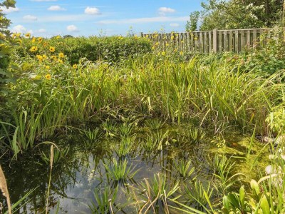 Holiday house 6 person holiday home in Ringkøbing-By Traum - Outdoor photo 24