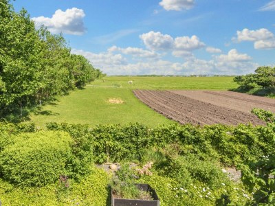 Holiday house 6 person holiday home in Ringkøbing-By Traum - Outdoor photo 25