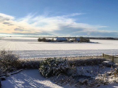 Holiday house 6 person holiday home in Ringkøbing-By Traum - Outdoor photo 51