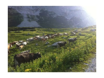 Apartment Wohnung 82 m², 4-5 Personen - Outdoor photo 11