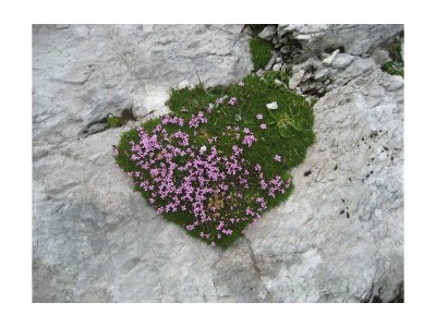 Apartment Wohnung 82 m², 4-5 Personen - Features photo 24