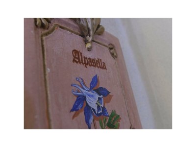 Apartment Wohnung 1 - Alpenrose - Outdoor photo 25