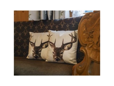 Apartment Wohnung 1 - Alpenrose - Features photo 36