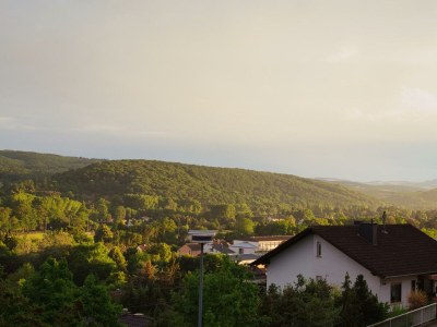 Apartment Appartement Willi - Outdoor photo 3
